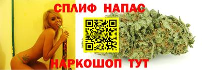 Альфа ПВП Будённовск