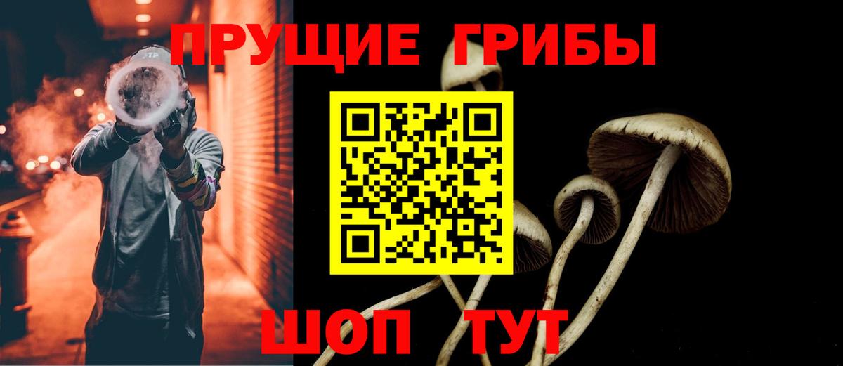 Псилоцибиновые грибы Psilocybe  Вход с VPN  даркнет сайт  Муром 